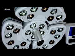 26 전구 치아 빛