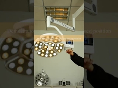 이식 치아 램프