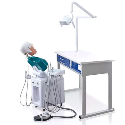 OEM 학생을 위한 실제적인 환영 머리 치과 시뮬레이터 A1 A3 A15