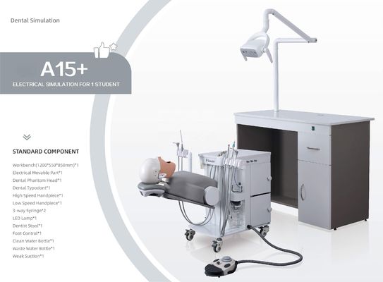 OEM 학생을 위한 실제적인 환영 머리 치과 시뮬레이터 A1 A3 A15