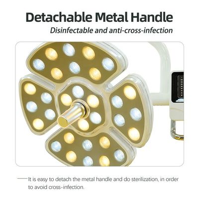 AC 15V-24V 치과 LED 램프, 다기능 LED 치과 작동 빛